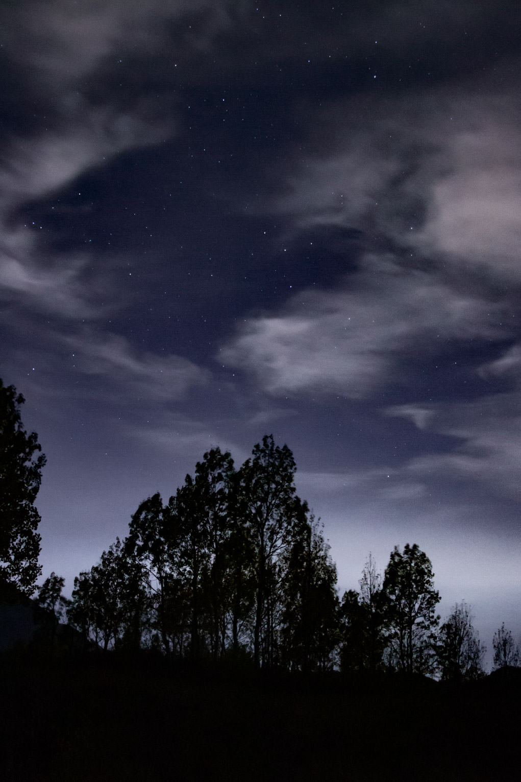 over sillouetted connifers stars visible between swaths of clouds